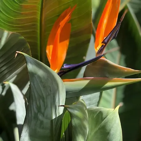 펜션 Home2book El Encanto Centro Historico *