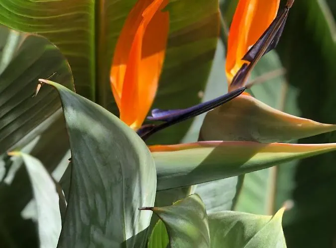 Casa de Férias Home2book El Encanto Centro Historico *