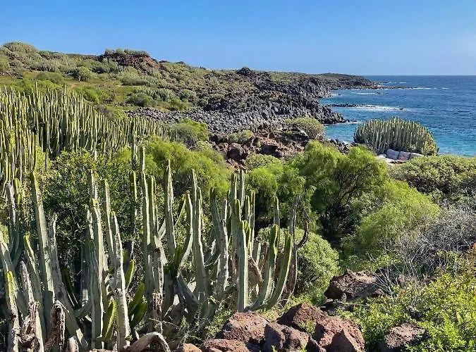 Casa vacanze Home2book El Encanto Centro Historico La Laguna (Tenerife)
